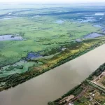Рівень Дунаю в Сербії падає далі: судноплавство під загрозою