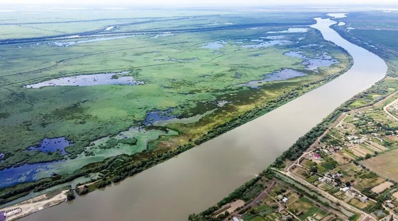 Рівень Дунаю в Сербії падає далі: судноплавство під загрозою
